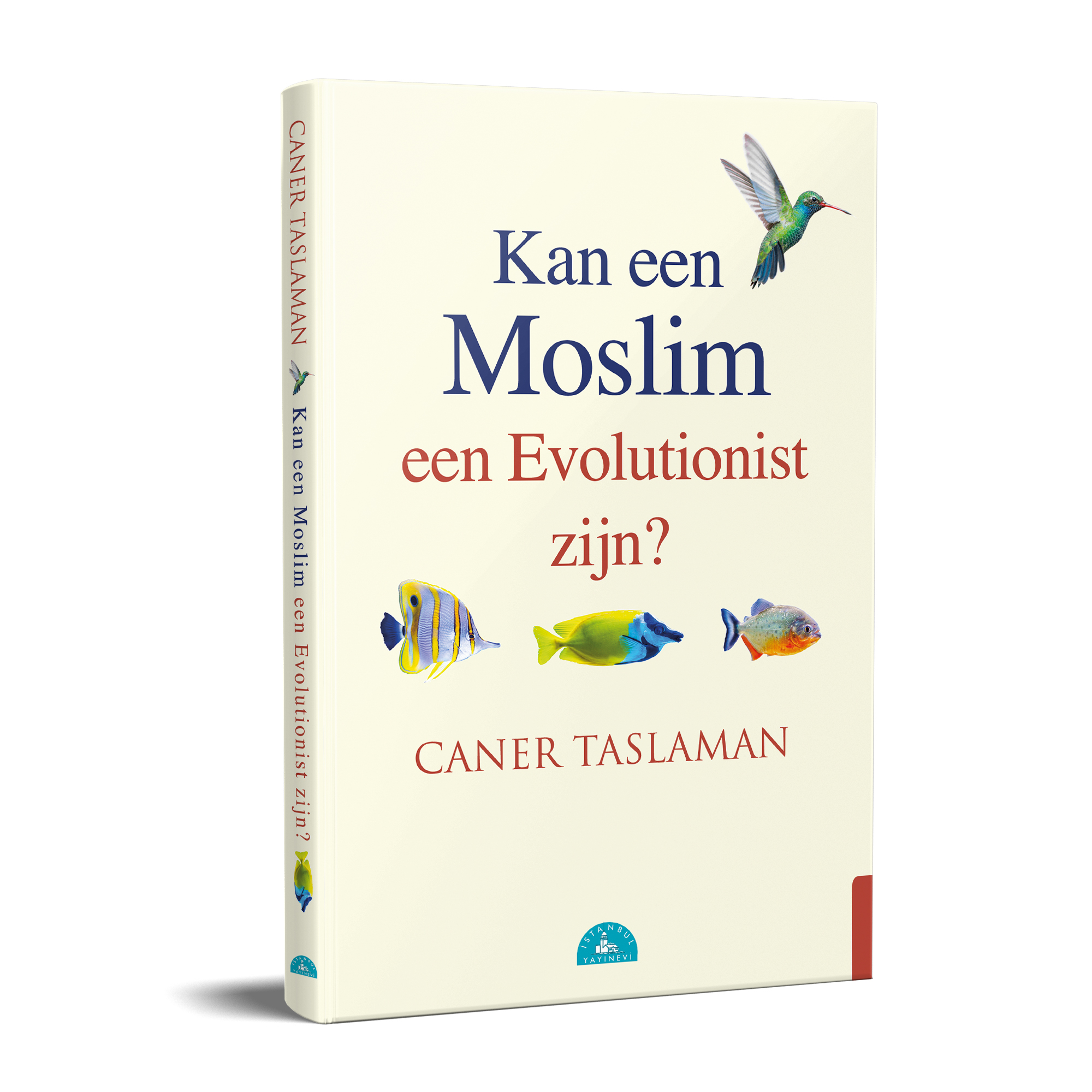 kan een moslim3D